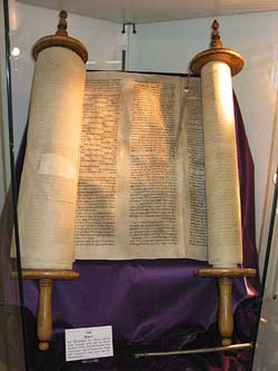 thora 250b int thora 250b int