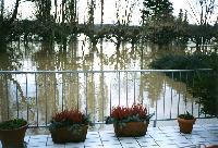 Bild 3231