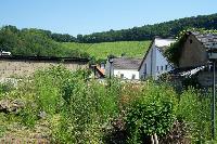 Bild 5768