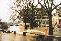 Bild 12533