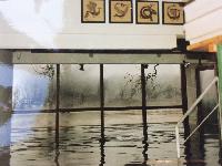 Bild 12545
