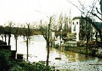 Bild 17402